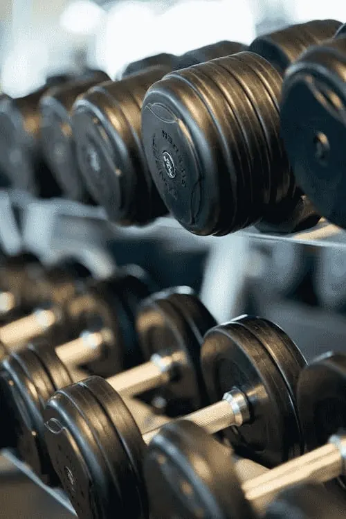 Rack of dumbbells on the gym floor